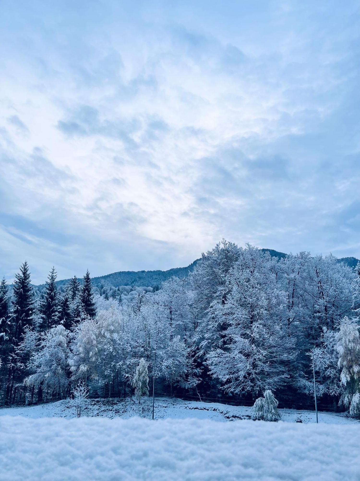Mountain Nest In Silver Mountain Poiana Brasov Exterior photo