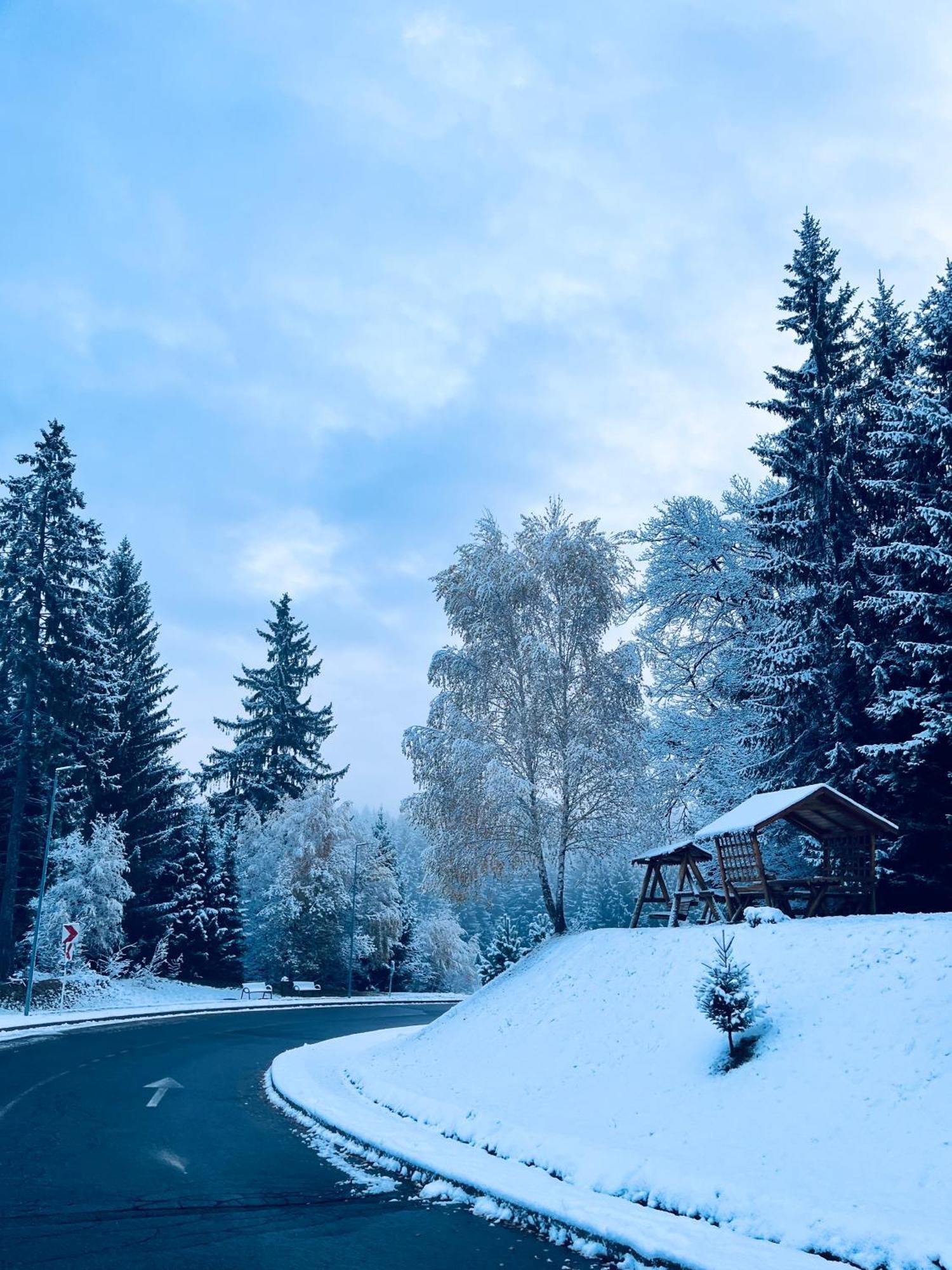 Mountain Nest In Silver Mountain Poiana Brasov Exterior photo